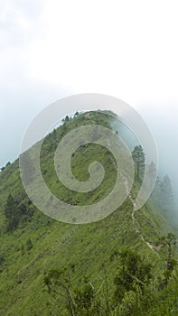 The Field of Climbing Towards the Peak of Alap-Alap