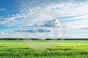 Field clouds