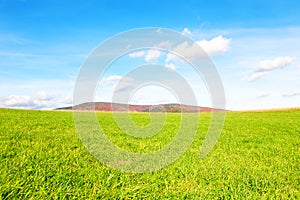 Field, clouds and sky