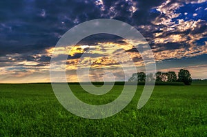 Field clouds trees summer sunset Sunray