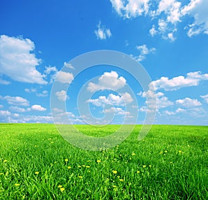 Field and cloudscape