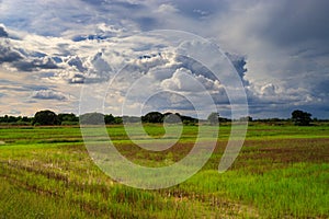Field and cloudy sky moving clouds