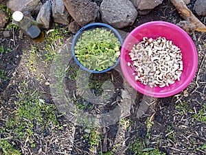 Field cooking- edible plants in bowels and puts on the ground