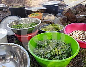 Field cooking- edible plants in bowels and puts on the fire