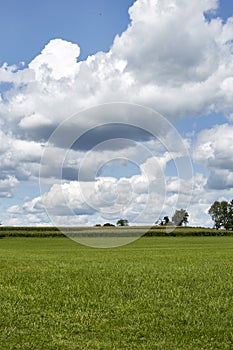 Hombre de extenso de césped verde cielo azul esponjoso nubes 