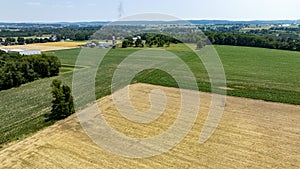 A field of corn is shown from above, with a few houses in the background