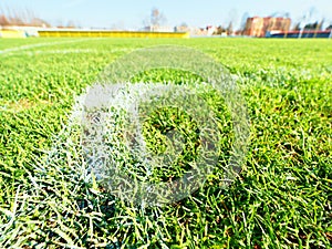 Field corner of outdoor football playground, natural grass turfs