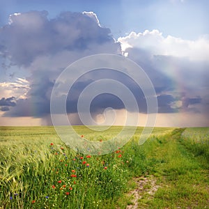 Field and country road