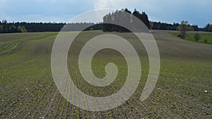 Field in a countryside setting green crop growing