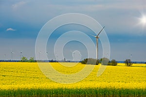 Field covered in yellow flowers with windmills under a blue cloudy sky on the background