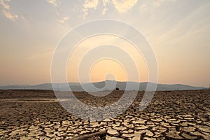 field of cracked earth