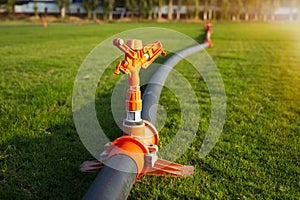 Field crops and irrigation system.