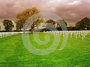 Field with crosses on the Netherlands American Cemetery in Margraten