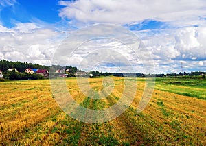 Field of cut grass