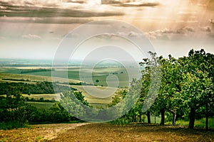 Field in Czech Republic