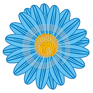 Field Daisy Blue