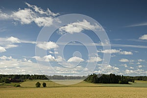 Field in Dalarna