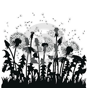 Field of dandelion flowers. Black silhouettes of summer plants on a white background. The outline of a glade with