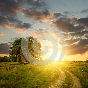 Field and dirt road to sunset