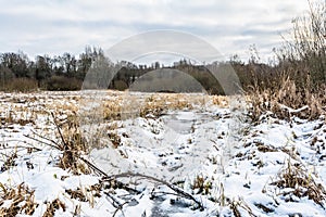 The Field with dry grass covered with first snow. Rural landscape. Early misty morning in the field