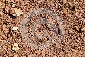 Field of dusty soil, clay and small rocks