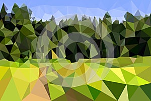 field and edge of the forest with a road, light mosaic, triangulation