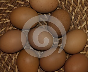 field eggs on wicker basket photo