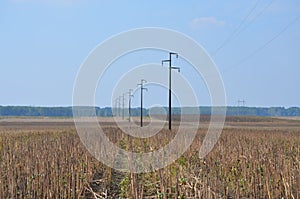 Field and electric poles