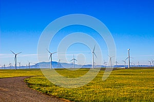 Field Of Energy Producing Wind Mills