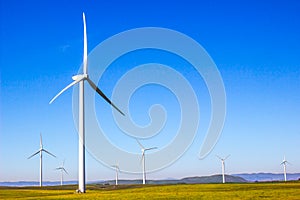 Field Of Energy Producing Windmills With Mountains