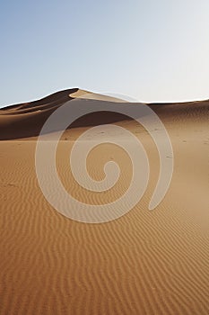 Field of Erg Chigaga dune in Sahara desert in MOROCCO - vertical