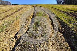 Field erosion landscape