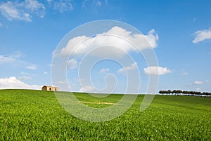 A field with a farm