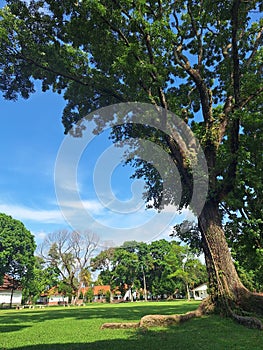 Field filled with trees and houses and places to sit