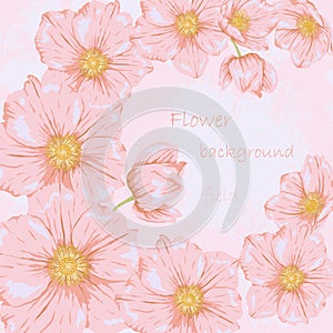 Field flover background 1