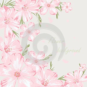 Field flower background