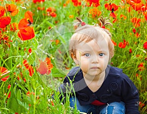 Field of flowers