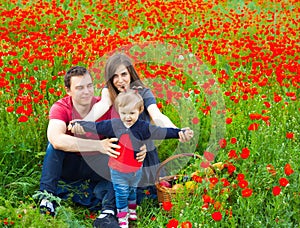 Field of flowers