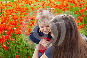 Field of flowers