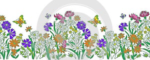 Field flowers and butterflies. Vector frame , background, islated on white