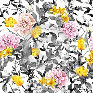 Field flowers, grasses, herbs. Seamless summer pattern, black and white colors. Watercolor