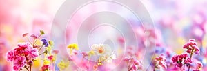 A field of flowers with a pink background. Pastel dreamlike floral landscape