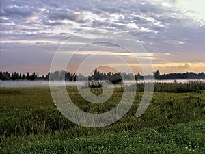 Field in the fog at sunrise