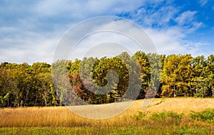 Field with footpath hiking trail into forest, with Autumn colors