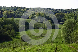 Field with forest and hills on the horizon