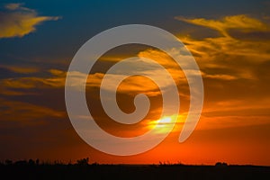 Field and forest illuminated by sun at sunset