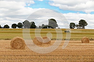 Field with freshly bales of hay