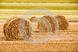 Field with freshly bales of hay