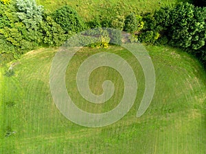 Field with freshly cut crass, aerial top view