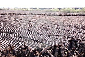 A Field Of Freshly Cut Turf